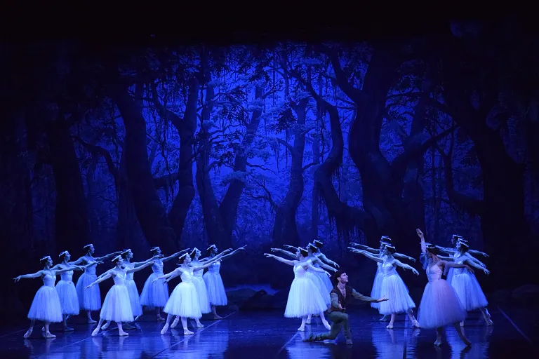Concurso para cubrir cargos en el Ballet del Sur de los OAS en Bahía Blanca