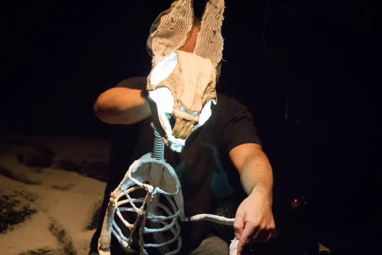 Animales en el techo