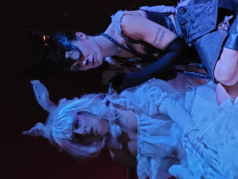 Cuando los animales duerman