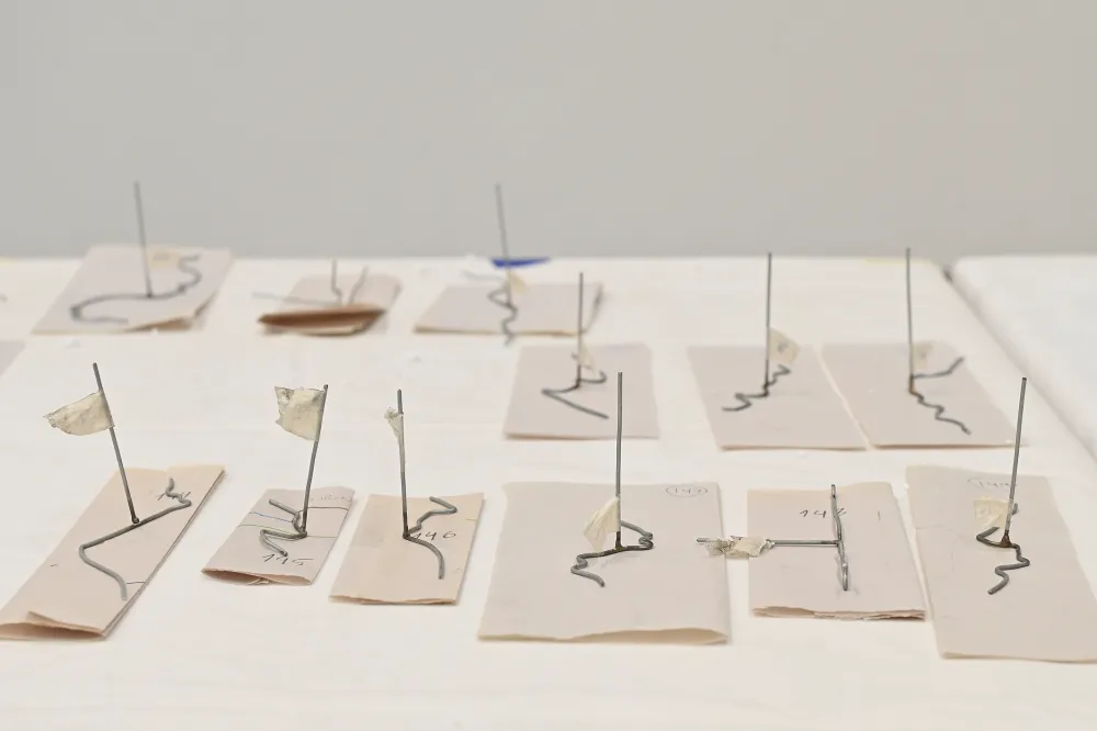 Se inaugura “Lo que la noche le cuenta al día” en el Museo MAR