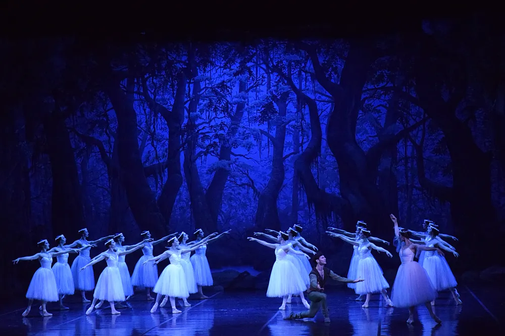 Concurso para cubrir cargos en el Ballet del Sur de los OAS en Bahía Blanca