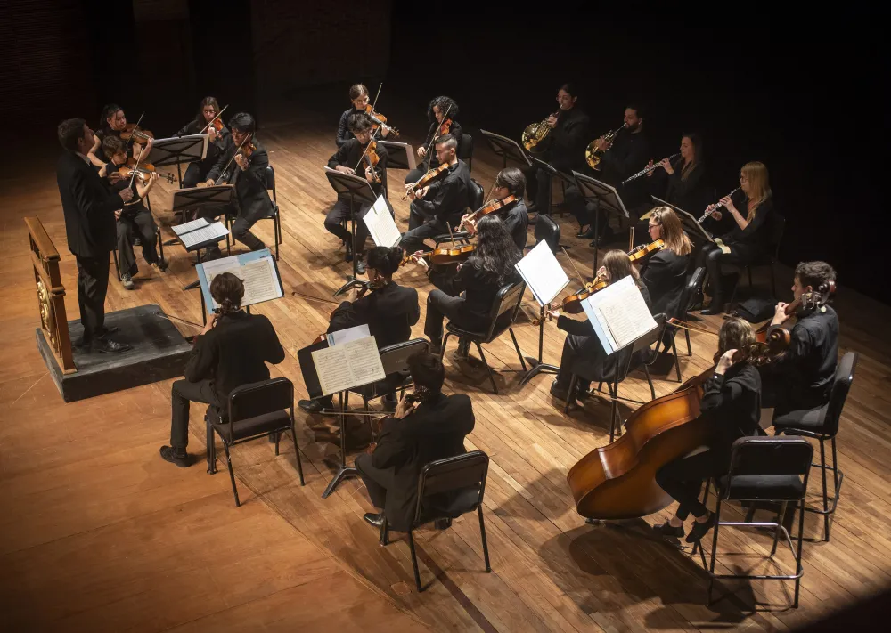 La Camerata Académica se presentará junto a un destacado contrabajista