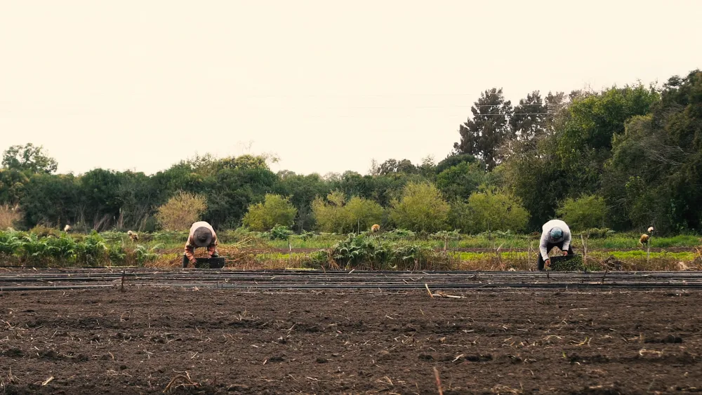 BAFILMA te invita a disfrutar de las novedades de noviembre