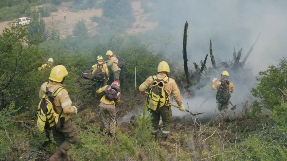 Las novedades de BAFILMA en 2026