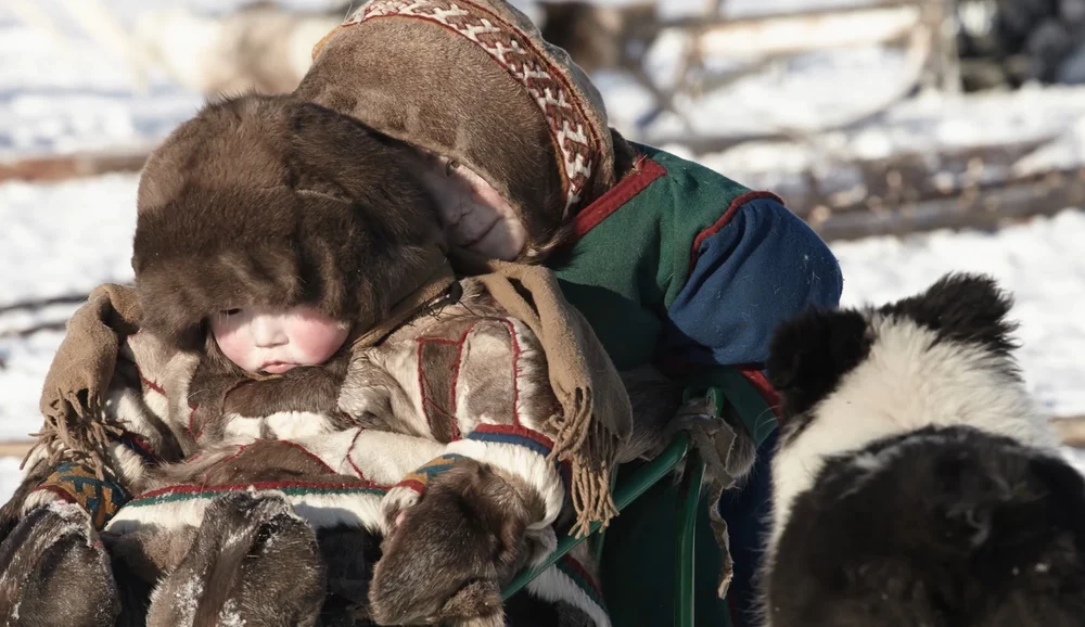 BAFILMA te invita a disfrutar de las novedades de febrero