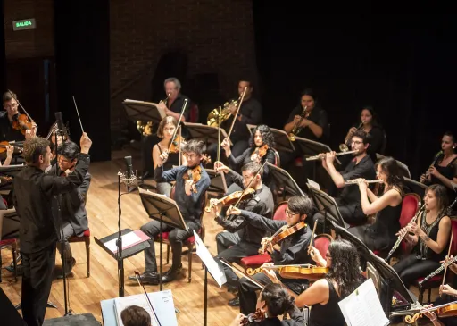 Nuevas audiciones para ingresar a la Camerata Académica