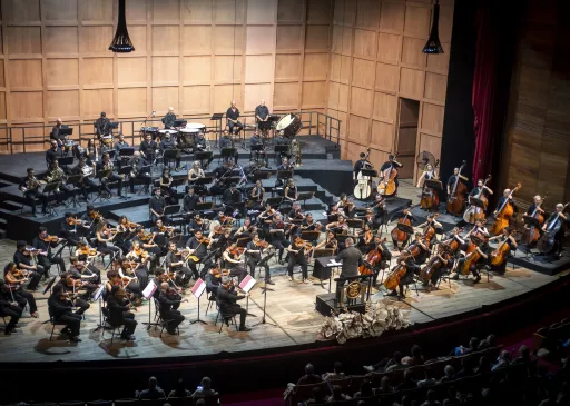 El Instituto Cultural llama a concurso público y abierto para cubrir cargos en la Orquesta Estable