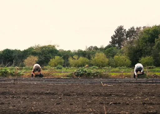 BAFILMA te invita a disfrutar de las novedades de noviembre