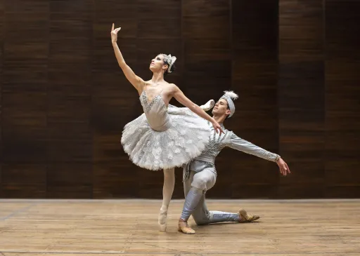 Vuelve el ballet al Teatro Argentino con la suite de La Bayadera