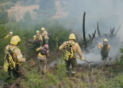 Las novedades de BAFILMA en 2026