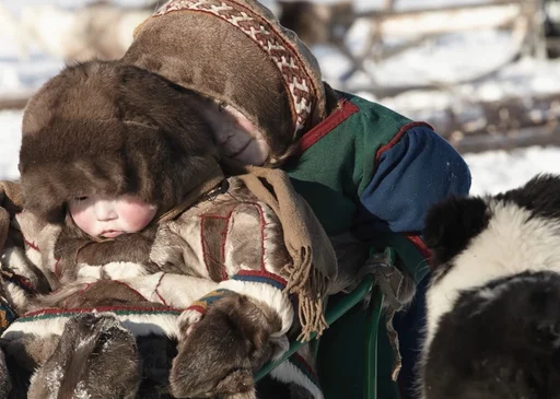 BAFILMA te invita a disfrutar de las novedades de febrero