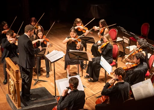 Audiciones para ingresar a la Camerata Académica del Teatro Argentino