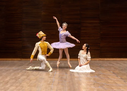 El Teatro Argentino ofrecerá el ballet “El Cascanueces” en versión para toda la familia